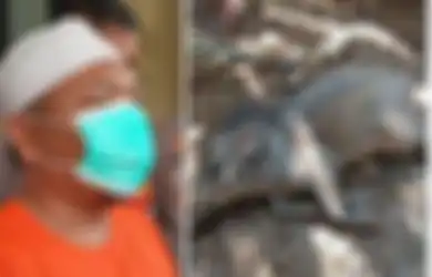 Hoaks Babi Ngepet Ternyata Sudah Direkayasa Tersangka Sebulan Sebelum Viral, Tujuannya Agar Lebih Terkenal di Kampung!