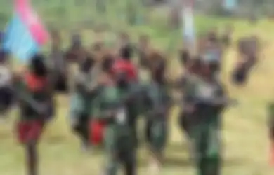 Kuasai Hutan-hutan Pedalaman dan Makin Sulit Dimusnahkan, KKB Papua Diduga Punya Sosok yang Mendanai Aksi Keji Mereka, Paulus Waterpauw: Tidak Bekerja, Tapi Bisa Beli Senjata dan Amunisi Mahal!