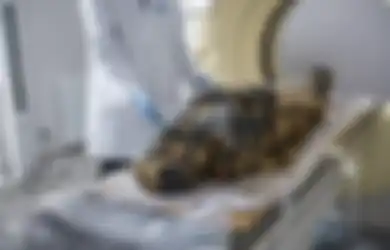 Dimumikan Bersama Janinnya, Inilah 'Wanita Misterius', Mumi Hamil yang Pertama Ditemukan di Dunia, Awalnya Dikira Pria