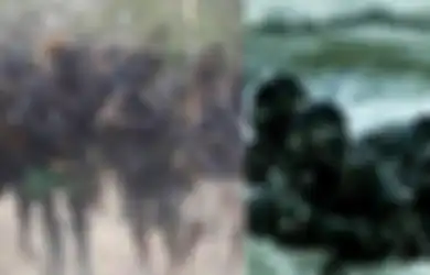 Kabarnya Pasukan Khusus Indonesia TNI AL Denjaka Turun Gunung Tumpas KKB Papua, Bantu Pasukan Setan TNI, Ini Keterangan TNI AL, Kadispen Komar: 'Itu Kan Pasukan Elite'