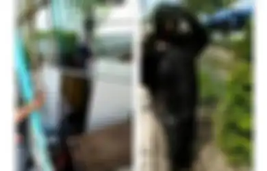 Lagi Asik-asik Jajan di Pinggir Jalan, Puluhan Pelanggan Ini Nyemplung Comberan Usai Warung yang Ditongkronginya Ambruk, si Pemilik Beberkan Kronologinya
