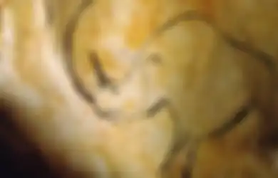 Selama Ini Jadi Misteri, Arkeolog Israel Kini Ungkap Alasan Mengapa Manusia Purba Membuat Lukisan di Gua yang Gelap Gulita, Siapa yang Akan Melihatnya?