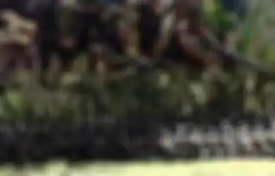 KKB Papua Angkat Senjata, Markas Mereka yang Tersembunyi di Tengah Hutan Rimba Hancur Lebur dalam Hitungan Menit, Aparat TNI Polri Gunakan Taktik Ini