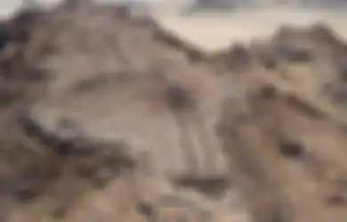 Peneliti Temukan Ribuan Bangunan Misterius yang Diyakini Jadi Tempat Pemujaan Ternak di Arab Saudi