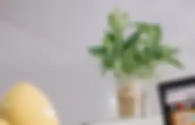 Jangan Asal, Ternyata Sirih Gading Harus Kena Matahari Tiap  14 Hari Sekali, Jika..