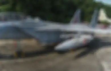 Hanya dengan Satu Sayap, Pilot Angkatan Udara Israel Ini Daratkan F-15 dengan Aman, Tanpa Pernah Dia Ketahui Sebelumnya