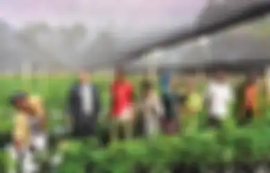 Teknologi Canggih Israel 'Sulap' Negara Miskin di Afrika Jadi Ladang Pangan Makmur
