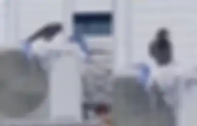 Bertengger di Pendingin Udara Sambil Cabik-cabik Bendera Israel, Burung Gagak Ini Mendadak Viral hingga Disorot Stasiun TV Aljazeera, Netizen: Tanda Kebesaran Allah