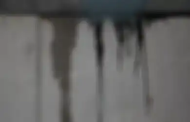 Kebocoran di Dalam Rumah Harus Diatasi Maksimum 24-48 Jam, Ini Alasannya!