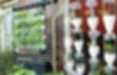 Tanam Sayur dengan Sistem Hidroponik Tetes, Perhatikan Penempatannya!