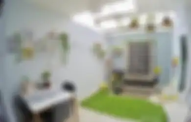 Panduan Praktis Membuat Taman dalam Ruang, Pilihan Desain dan Elemen