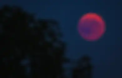 Pilih Gambar Bulan yang Paling Menarik di Matamu, Tes Kepribadian Ini Siap Bongkar Hal yang Tersembunyi dalam Dirimu