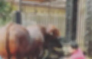 Fotonya Mandikan Sapi Beredar, Ini Nasib Hardi Fadhillah Aktor FTV yang Tak Laku Lagi di TV