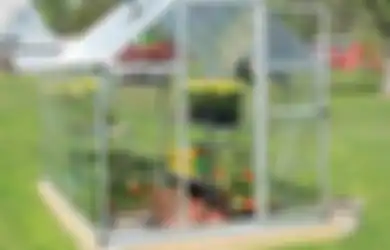 Perlukah Greenhouse untuk Berkebun Hidroponik? Ini Penjelasannya!