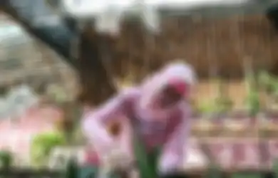 Penjara Tempa Jiwanya Hingga Akhirnya Hapal 15 Juz Al Quran, Angelina Sondakh Ngaku Kapok Terjerat di Dunia Politik, Mantap Jadi Petani Jika Sudah Bebas Nanti
