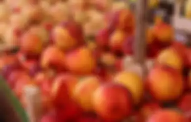 Termasuk Cegah Kanker, Ini Manfaat Buah Peach Alias Buah Persik untuk Kesehatan Tubuh