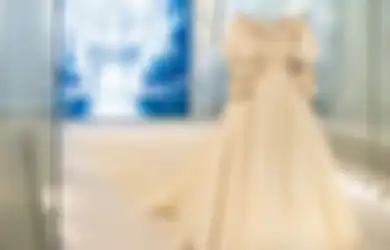 Setelah 40 Tahun Pasca Pernikahannya, Gaun Pengantin Putri Diana Akhirnya Dipamerkan di Istana Kensington, Berikut Fakta Menariknya