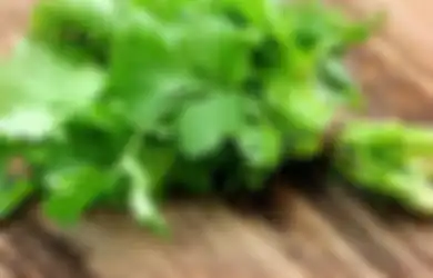 Padahal Kaya Kandungan Vitamin dan Mineral, Ternyata Terlalu Banyak Konsumsi Seledri justru Picu Masalah Kesehatan Mengerikan ini
