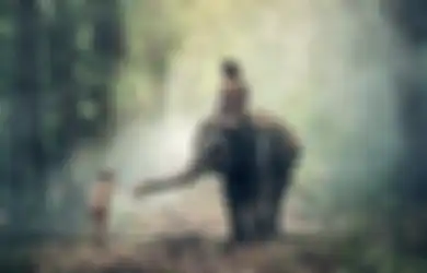 Bernasib Apes, Pawang Binatang Tewas Diduduki Gajah, Sempat Alami Tragedi Ini Sebelum Hembuskan Nafas Terakhirnya
