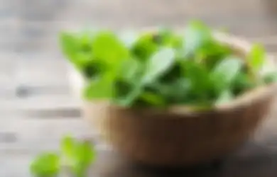 Wow! 5 Manfaat Daun Mint Buat Kulit Ini Masih Jarang Diketahui Orang!