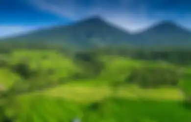 Jawaban Apa yang Menyebabkan Sistem Subak Berhasil Meraih Perhatian Dunia Kelas 5 SD Tema 5