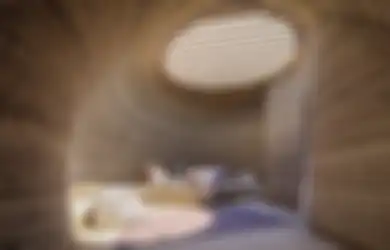 Murah dan Berkelanjutan, Rumah Cetak 3D Ini Dibangun dengan Tradisi Kuno dan Teknologi Kontempoter
