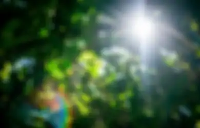 Aneh tapi Nyata! Video Matahari Terbit dari Utara di Jeneponto Ini Mendadak Viral di Media Sosial, Kok Bisa?