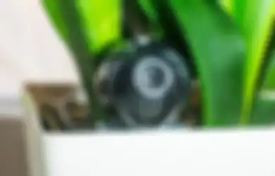 Sudah Jadi Mantan tapi Masih Perhatian, Wanita Ini Nekat Pasang CCTV di Rumah eks Suami Demi Selidiki Pacar Baru Layak Jadi Ibu Tiri Atau Tidak, Faktanya Bikin Heboh