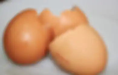 Ya Ampun Selama Ini Langsung Dibuang, Cangkang Telur Ternyata Ampuh Buat Usir Hewan Menjijikan Ini, Begini Caranya