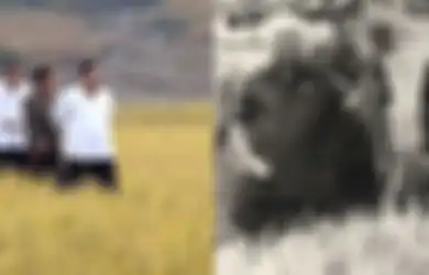 Sampai Paksa Warganya Hanya Makan Dua Kali Sehari, Inilah Krisis Pangan Korea Utara Pertama, Kala Kakek Kim Jong-Un Gagal Tiru Kebijakan Orde Baru Soeharto