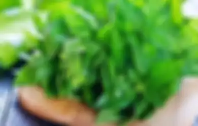 Nyesel Baru Tahu, Bukan Sekadar Lalapan, Kemangi Ternyata Bikin Kulit Glowing dan Bebas Jerawat, Ini Faktanya