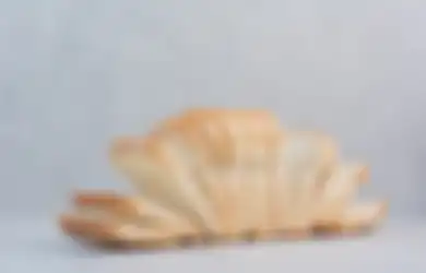 Banyak Orang yang Selama Ini Salah, Ternyata Begini Cara Tepat Menyimpan Roti Tawar agar Tetap Awet dan Tidak Mudah Jamuran