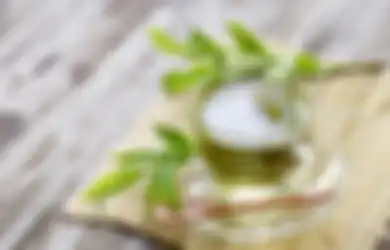 Dikira Sehat, Terlalu Banyak Minum Teh Hijau Ternyata Bisa Timbulkan Dampak Buruk bagi Kesehatan Tubuh
