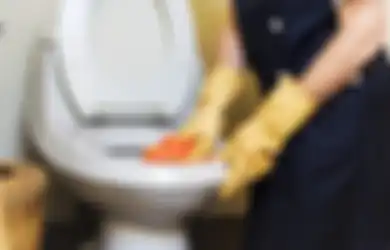 Ya Ampun Ngapain Repot-repot Sewa Jasa Sedot WC, Kloset yang Mampet Ternyata Bisa Diatasi dengan Bahan Alami Ini