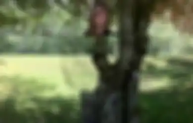 Canggihnya Teknologi Kamuflase Baru Israel yang Diklaim Bisa Buat Tentara Hampir Tidak Terlihat, Bahkan Bisa Jadi Selimut Hipotermia