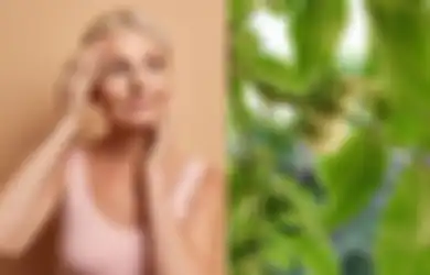 Selamat Tinggal Uban di Kepala, Bahan Alami Ini Dijamin Ampuh Musnahkan Rambut Beruban dalam Waktu Singkat