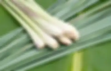 Tak Sekadar Jadi Bumbu Dapur, Tanaman Suku Rumput-rumputan Ini Ternyata Punya Manfaat Luar BIasa untuk Merawat Kulit Wajah