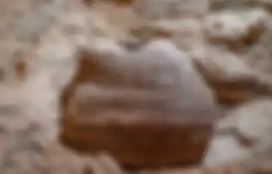 Misteri Keranjang Besar Berusia 10.500 Ini adalah Bagian dari Penemuan Luar Biasa di 'Gua Horor' Israel di Gurun Yudea
