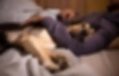 Mulai Lindungi Hewan Peliharaan Anda, Peneliti Ungkap Kucing dan Anjing Punya Resiko Tinggi Tertular Covid-19 dari Pemiliknya, Berikut Tips Mencegahnya