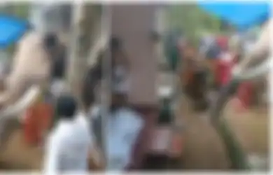 Menyayat Hati, Seekor Gajah Rela Berjalan 25 Km Untuk Lakukan Salam Terakhir Pada Pemiliknya yang Meninggal Dunia, Begini Kisahnya yang Bikin Nangis