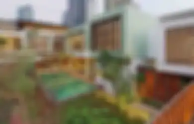 Banyak yang Salah! Inilah Penerapan Konsep Rumah Tropis yang Gampang Diwujudkan, Tak Sekadar Pakai Bukaan dan Tanaman