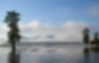Jadi Rumah Bagi Banyak Buaya, Inilah Danau Ira Lalaro di Timor Leste, yang Juga Rumah untuk Hutan Setengah Cekung yang Spektakuler