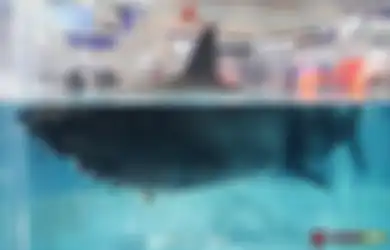 Angkatan Laut China Mengungkap Rahasia Besarnya, Senjata Apakah Ini yang Menyerupai Ikan Hiu dan Bisa Berenang di Lautan?