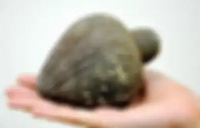 Ditemukan Bersama Benda yang Usianya Capai 3.500 Tahun, Granat Tangan Era Tentara Perang Salib yang Ditemukan di Israel Berisi 'Api Yunani' yang Sangat Membakar