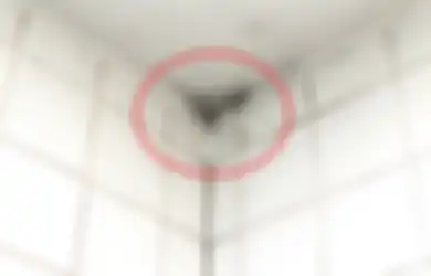 Tak Susah Bikin Kamar Mandi Jadi Terasa Nyaman, Coba Saja Hilangkan Jamur dengan 4 Cara Alami dan Ampuh Ini!