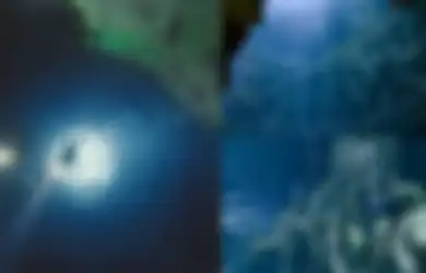 Deep Dive Dubai, Surganya Penyelam yang Tetap Ingin Manjakan Mata dengan Keindahan Bawah Laut dengan Kemewahan, Ini Sederet Fasilitas yang Ditawarkan!