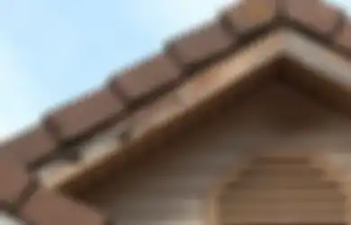 Jangan sampai Hancur, Ini Cara Merancang Atap Rumah agar Bebas Rayap