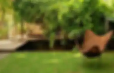Ini Beda Taman Minimalis dengan Taman Tropis, Cek sebelum Membuat!