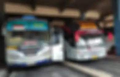 Mudik dengan Bus Makin Aman, Ancaman Pencopet Tak Ada Apa-apanya, Ini Kode Kru Bus AKAP untuk Penumpang Ketika Copet Beraksi, Perhatikan!