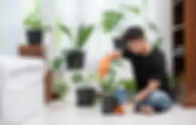 Tolong Berhenti  Buang Rontokan Daun Kering Begitu Saja, Lakukan Cara Berikut untuk Bikin Tanaman di Rumah Bisa Tumbuh Subur